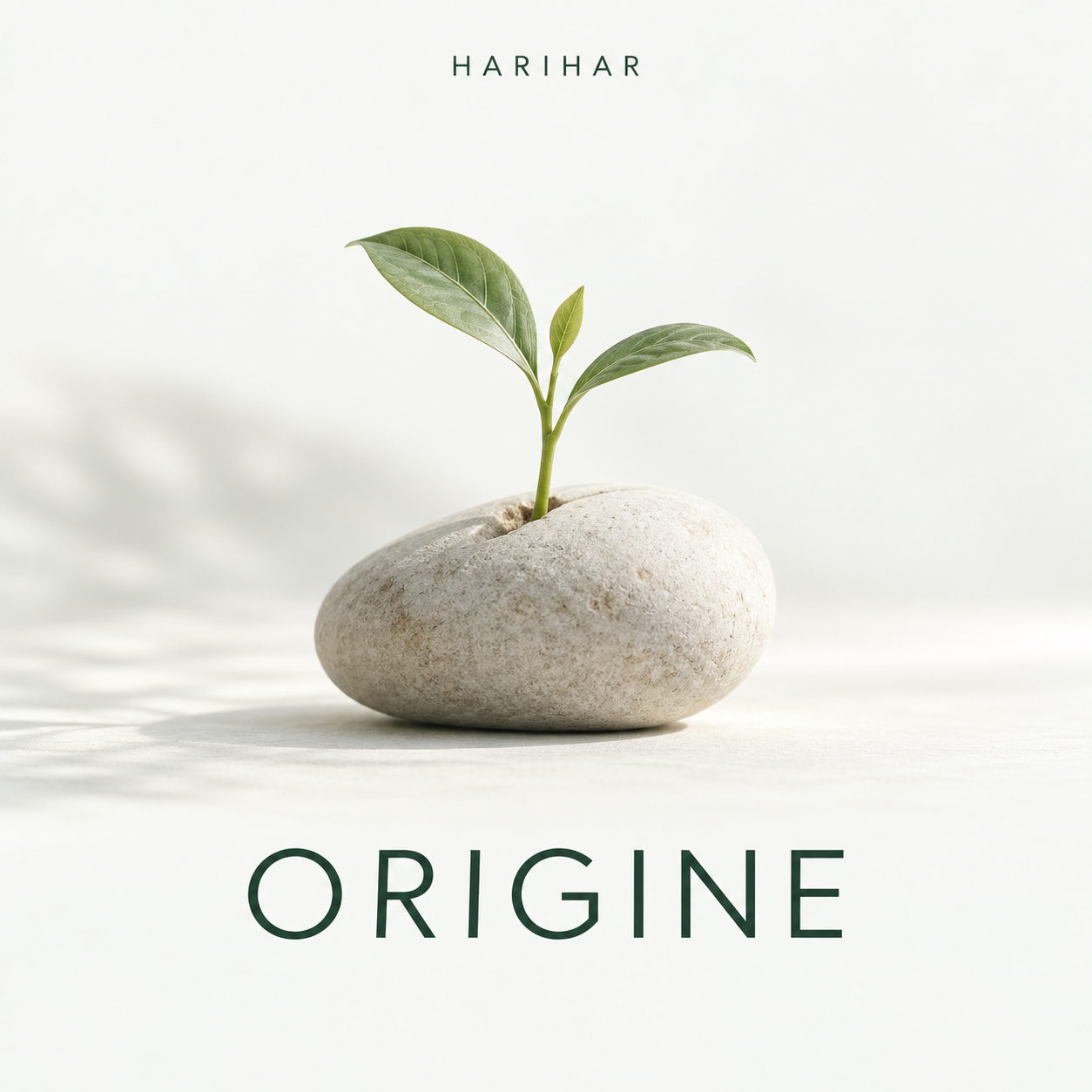 ORIGINE